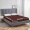 Sale Active 3 x 6 Feet Waterproof Terry Cotton Mattress Protector For Single Bed Size, 36 x 72 Inches- Brown | Hypoallergenic & Breathable